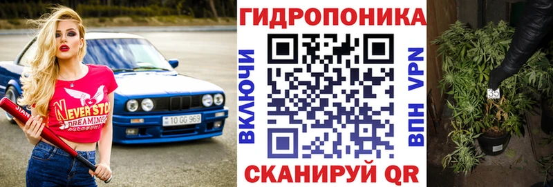 Купить где Багратионовск Бошки Шишки гибрид